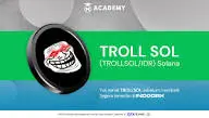 TROLL (SOL)
